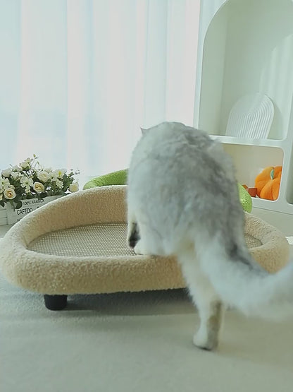 猫 爪とぎ キャットソファー ペットマット 爪に強いソファー 猫 ベッド  ペットベッド  小型犬 寝床 通年タイプ キャットベッド 猫ちゃんの遊園地 キャットベッド マット キャットベッド 年中通用 おしゃれ ソファー 背もたれ付き